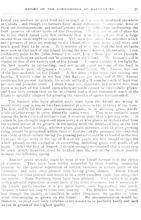 600_OBJ-Thumbnail Image.jpg