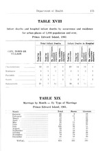 60153_OBJ-Thumbnail Image.jpg