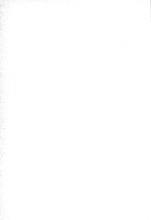 60397_OBJ-Thumbnail Image.jpg