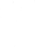 60481_OBJ-Thumbnail Image.jpg