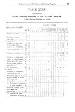 60556_OBJ-Thumbnail Image.jpg
