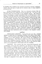 60975_OBJ-Thumbnail Image.jpg