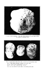 60993_OBJ-Thumbnail Image.jpg
