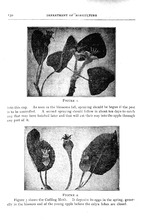 61391_OBJ-Thumbnail Image.jpg
