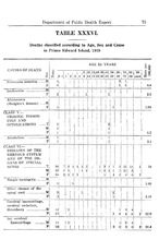 61582_OBJ-Thumbnail Image.jpg