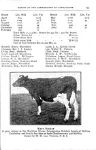 61673_OBJ-Thumbnail Image.jpg