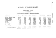 61942_OBJ-Thumbnail Image.jpg