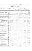 62029_OBJ-Thumbnail Image.jpg