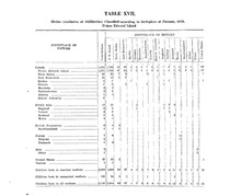 62056_OBJ-Thumbnail Image.jpg