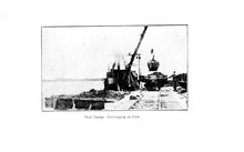 62075_OBJ-Thumbnail Image.jpg