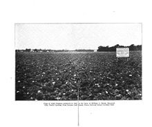 62240_OBJ-Thumbnail Image.jpg