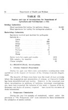 62246_OBJ-Thumbnail Image.jpg