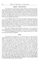 62325_OBJ-Thumbnail Image.jpg