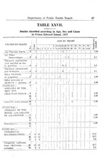 62344_OBJ-Thumbnail Image.jpg