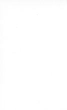 62366_OBJ-Thumbnail Image.jpg