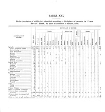 62382_OBJ-Thumbnail Image.jpg