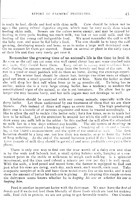 62463_OBJ-Thumbnail Image.jpg