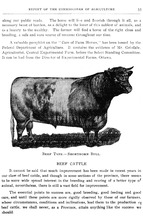 62591_OBJ-Thumbnail Image.jpg