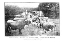 62641_OBJ-Thumbnail Image.jpg