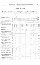 62797_OBJ-Thumbnail Image.jpg