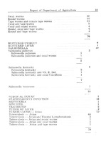 6304_OBJ-Thumbnail Image.jpg