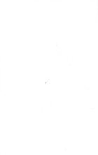 63137_OBJ-Thumbnail Image.jpg