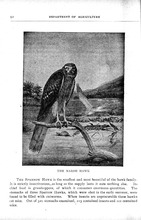 63151_OBJ-Thumbnail Image.jpg