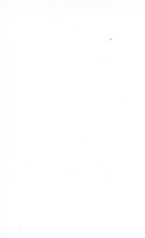 63223_OBJ-Thumbnail Image.jpg
