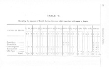 63319_OBJ-Thumbnail Image.jpg