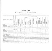 63345_OBJ-Thumbnail Image.jpg