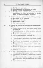 63431_OBJ-Thumbnail Image.jpg