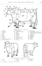 63505_OBJ-Thumbnail Image.jpg