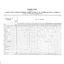 63531_OBJ-Thumbnail Image.jpg