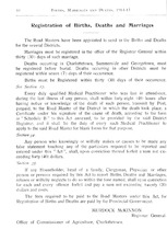 63788_OBJ-Thumbnail Image.jpg