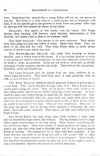 63942_OBJ-Thumbnail Image.jpg