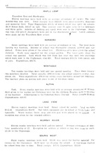 63975_OBJ-Thumbnail Image.jpg