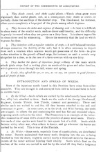 63979_OBJ-Thumbnail Image.jpg