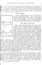63984_OBJ-Thumbnail Image.jpg