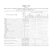 63995_OBJ-Thumbnail Image.jpg
