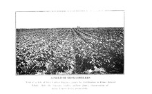 64070_OBJ-Thumbnail Image.jpg