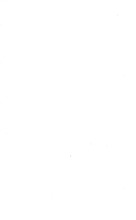 64406_OBJ-Thumbnail Image.jpg