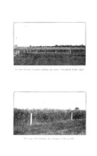 64609_OBJ-Thumbnail Image.jpg
