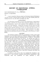 64724_OBJ-Thumbnail Image.jpg