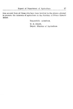 65059_OBJ-Thumbnail Image.jpg
