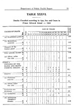 65120_OBJ-Thumbnail Image.jpg