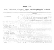 65169_OBJ-Thumbnail Image.jpg