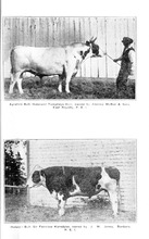65177_OBJ-Thumbnail Image.jpg