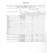 6523_OBJ-Thumbnail Image.jpg