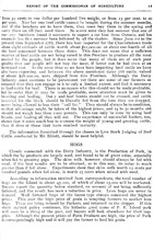 65258_OBJ-Thumbnail Image.jpg
