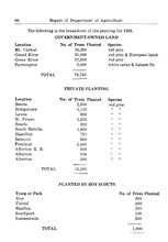 65267_OBJ-Thumbnail Image.jpg